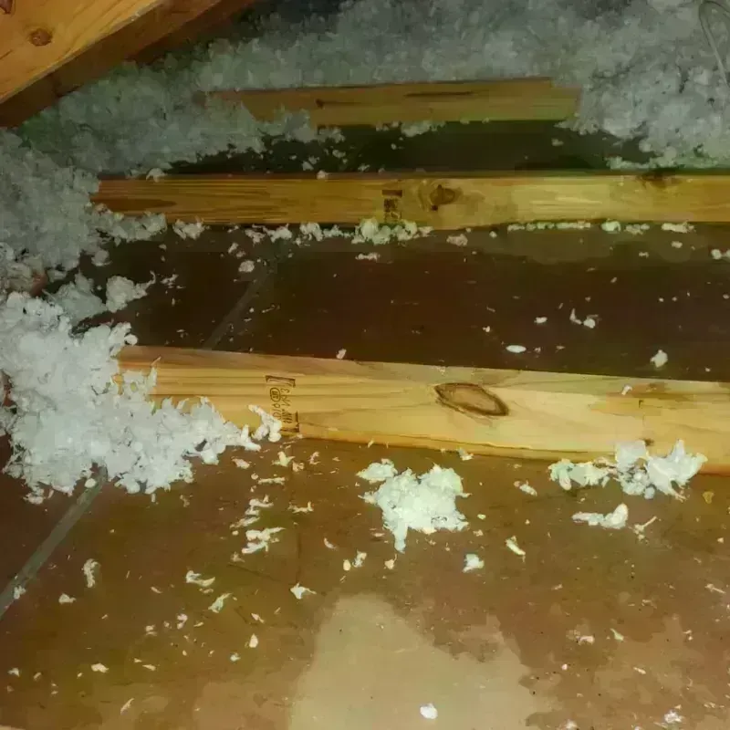 Attic Water Damage in Stanford, MT