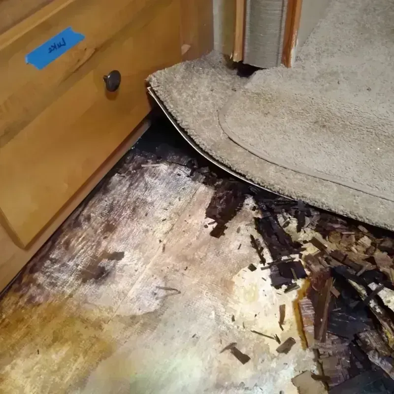 Wood Floor Water Damage in Stanford, MT